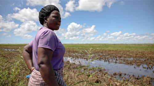 Angelina staring out at damaged fields