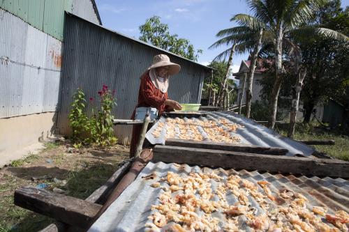 Loh Sadah drying shrimp