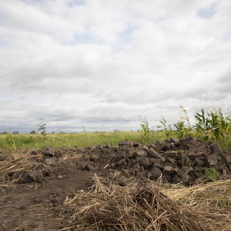 A photo of land impacted by climate change