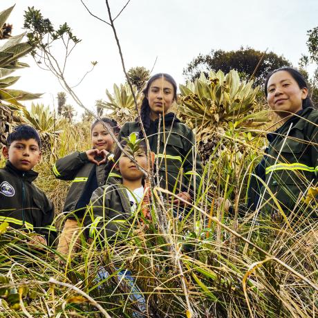 Environmental Indigenous Guard, Colombia