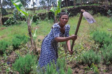 Furuha working on her land